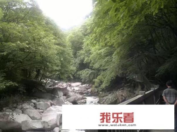 光雾山到底怎么样？