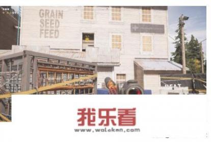 孤岛惊魂5黄蜂窝任务通关攻略？
