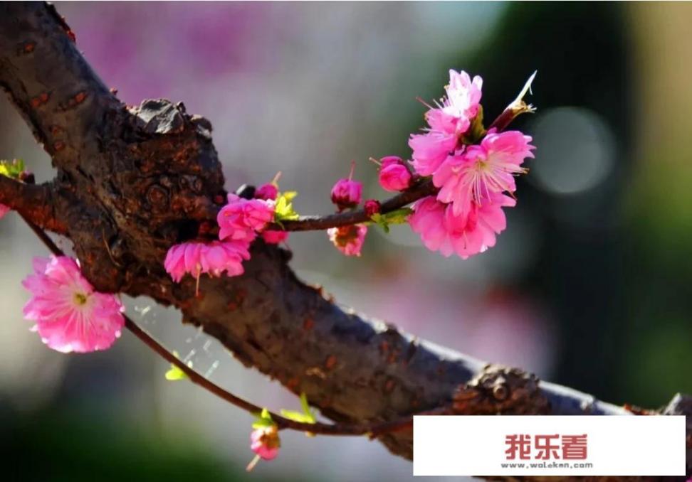 小红书怎么约一起旅游？