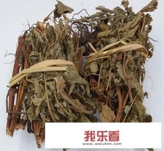 山上发现了大批龙芽草，药用价值高吗？能否人工种植？