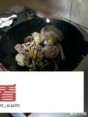 滋补番鸭汤的做法？