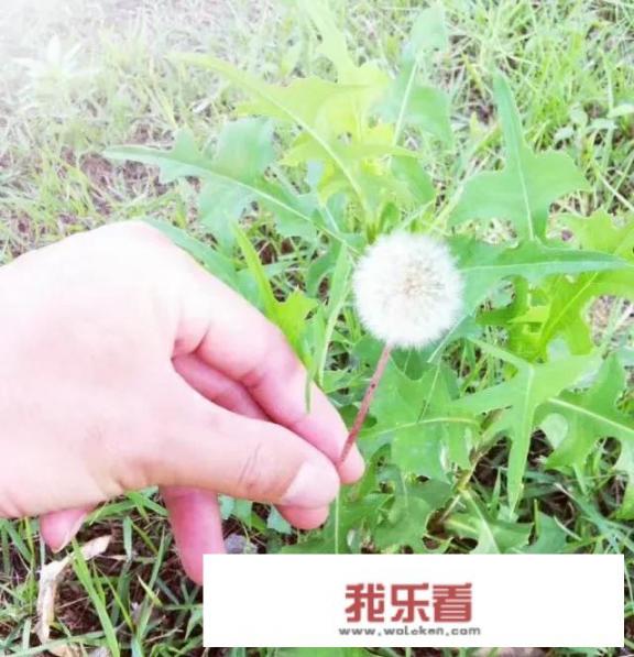 伤心歌曲原唱全部？