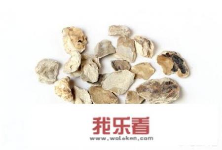 生牡蛎怎么煎药，是用肉还是它的壳？
