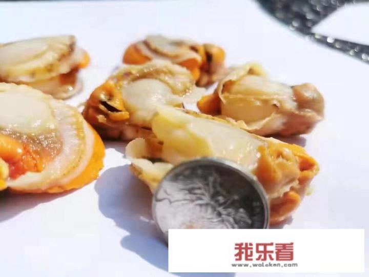 冷冻扇贝肉怎么清理？