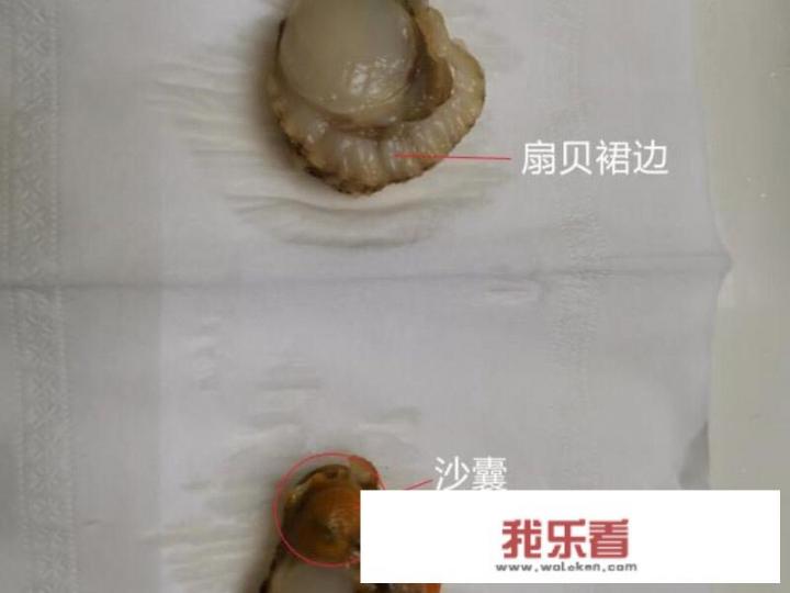 冷冻扇贝肉怎么清理？