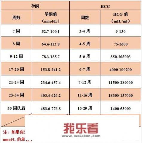 怀孕一个月的孕妇煲什么汤比较补身体？有哪些需要注意的问题？