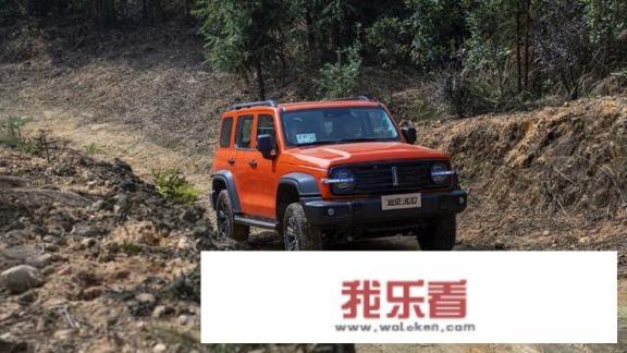 20万预算，是排队买坦克300，还是享受优惠买RAV4荣放？