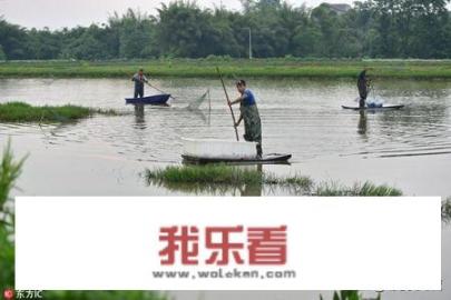 水库放地笼捕河虾最佳位置？