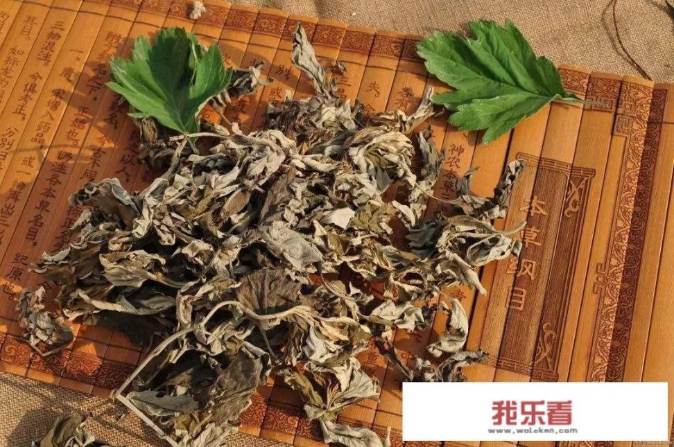 艾草洗头有什么好处？