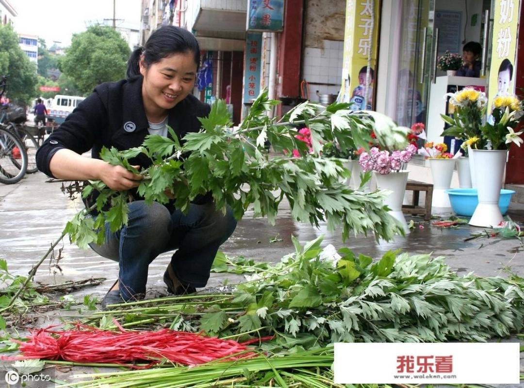 农村端午节挂艾草，你知道应该挂有根还是没根艾草吗？挂的时候根应该朝上还是朝下？