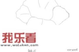 素描花朵是怎么画的？