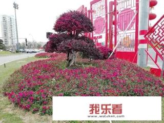 人间四月美如画，谷雨时节景色新，请以文字和图片来表达吧？